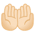 :palms_up_together:t2: